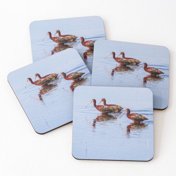 Item preview, Four White-Faced Ibises, Burns, Oregon designed and sold by AvocaSpring.