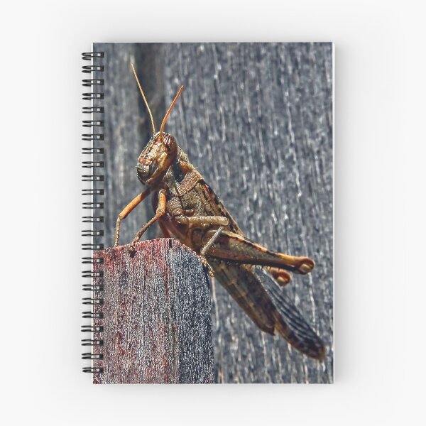 Item preview, Gregory, The Grasshopper King! designed and sold by heatherfriedman.