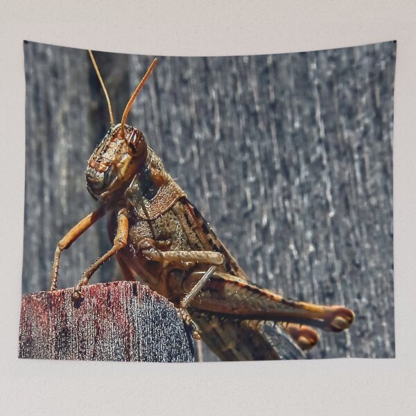 Item preview, Gregory, The Grasshopper King! designed and sold by heatherfriedman.