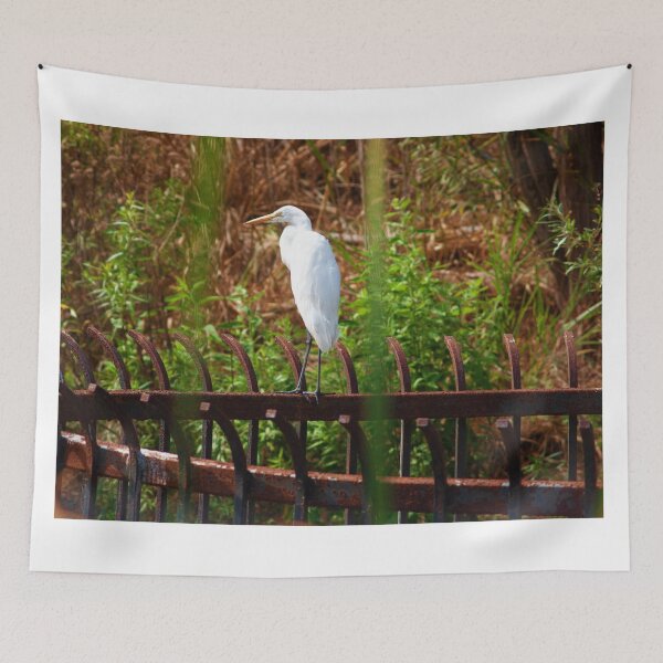 Item preview, Balancing act designed and sold by MChabalaRussell.