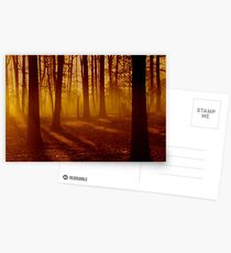 Blazon Embers Postcards