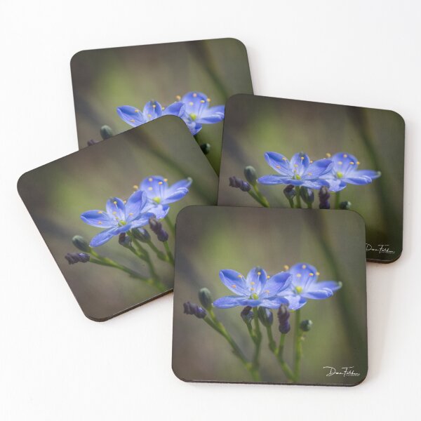 Item preview, Blue Squill designed and sold by Dana Fatchen.