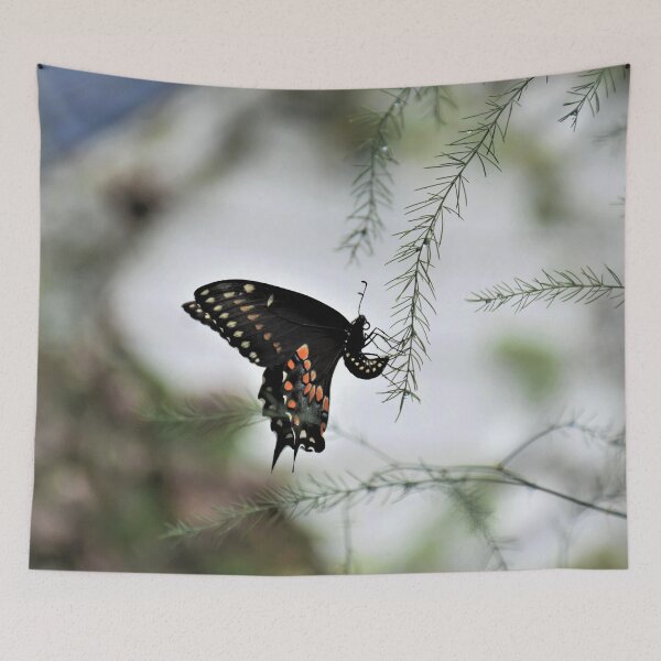 Item preview, Hangin Out designed and sold by DonnaM.
