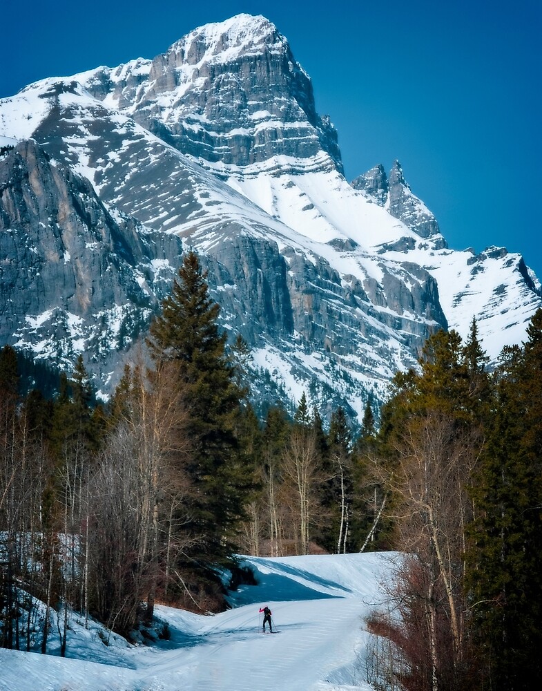 "Canmore Alberta Nordic Ski Club" by Yukondick Redbubble
