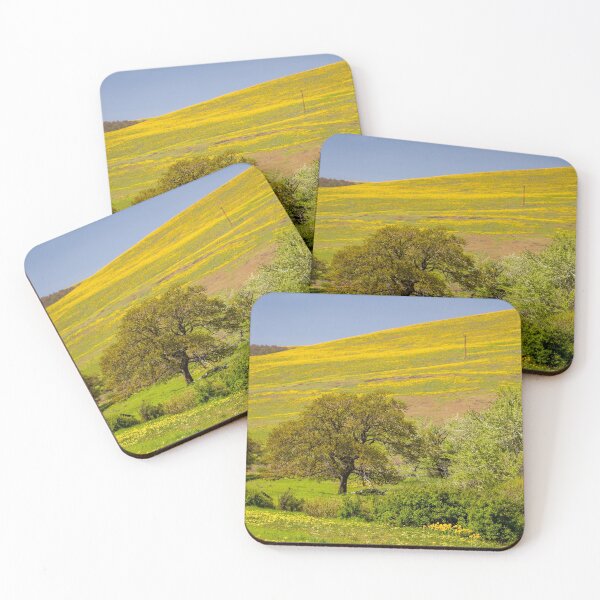 Item preview, Wildflowers on The Dalles Ranch Road, Columbia River Gorge, Washington designed and sold by AvocaSpring.