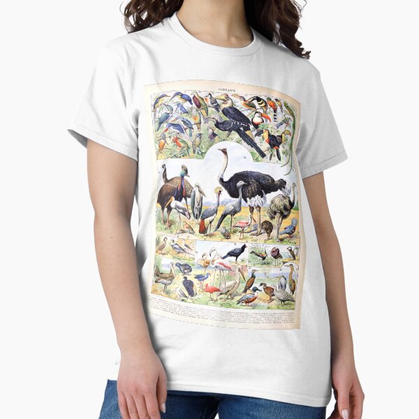 Item preview, Adolphe Millot - Oiseaux D - French vintage poster designed and sold by DejaVuStudio.