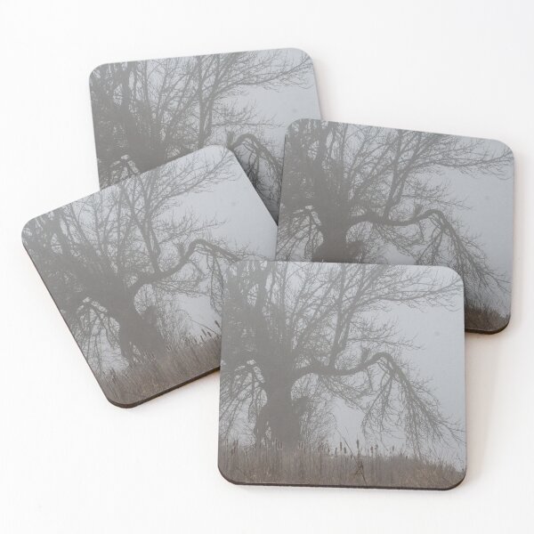 Item preview, Halloween Tree, Sauvie Island, Portland, Oregon designed and sold by AvocaSpring.