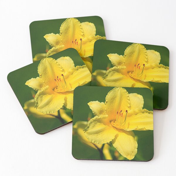 Item preview, Yellow and Bright designed and sold by Brenda Burnett.