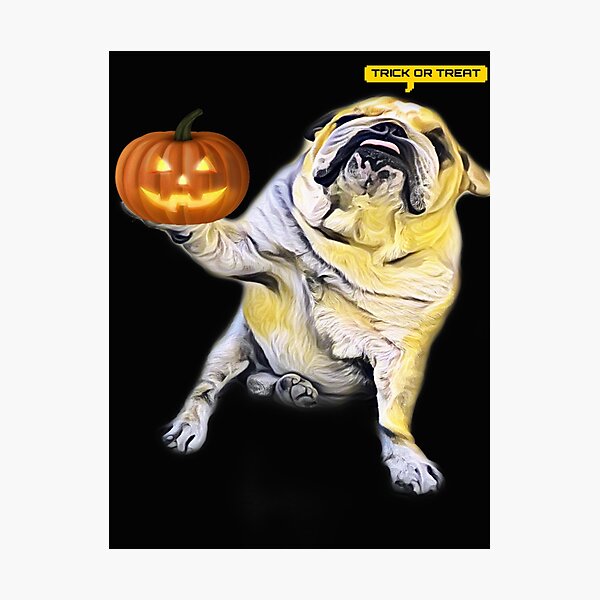 Artikel-Vorschau von Reizend englische Bulldogge, die Halloween-Süßes sonst gibt's Saures geht, designt und verkauft von Khala.