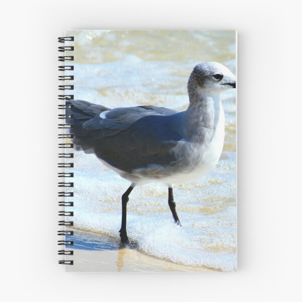 Item preview, Bird Surfing designed and sold by Scott Hayes.