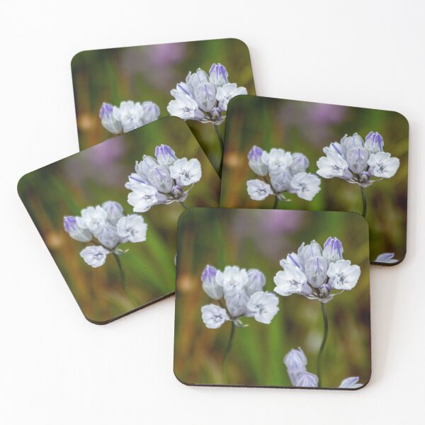 Item preview, Triteleia Grandiflora Howelli, Columbia River Gorge Wildflower designed and sold by AvocaSpring.