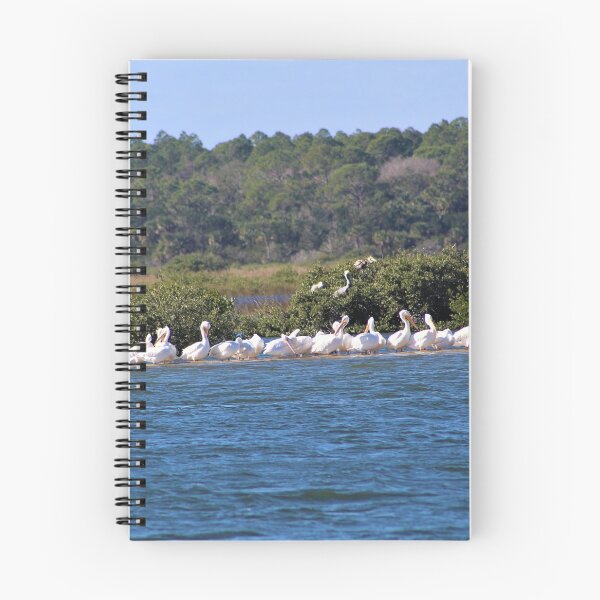 Item preview, Flock of White Pelicans on a Sandbar designed and sold by banditandkoko.