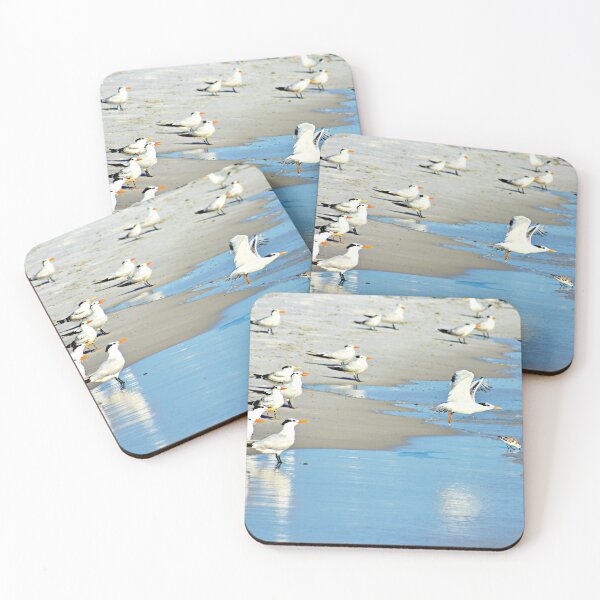 Item preview, The Tern-ing Tide designed and sold by Scott Hayes.