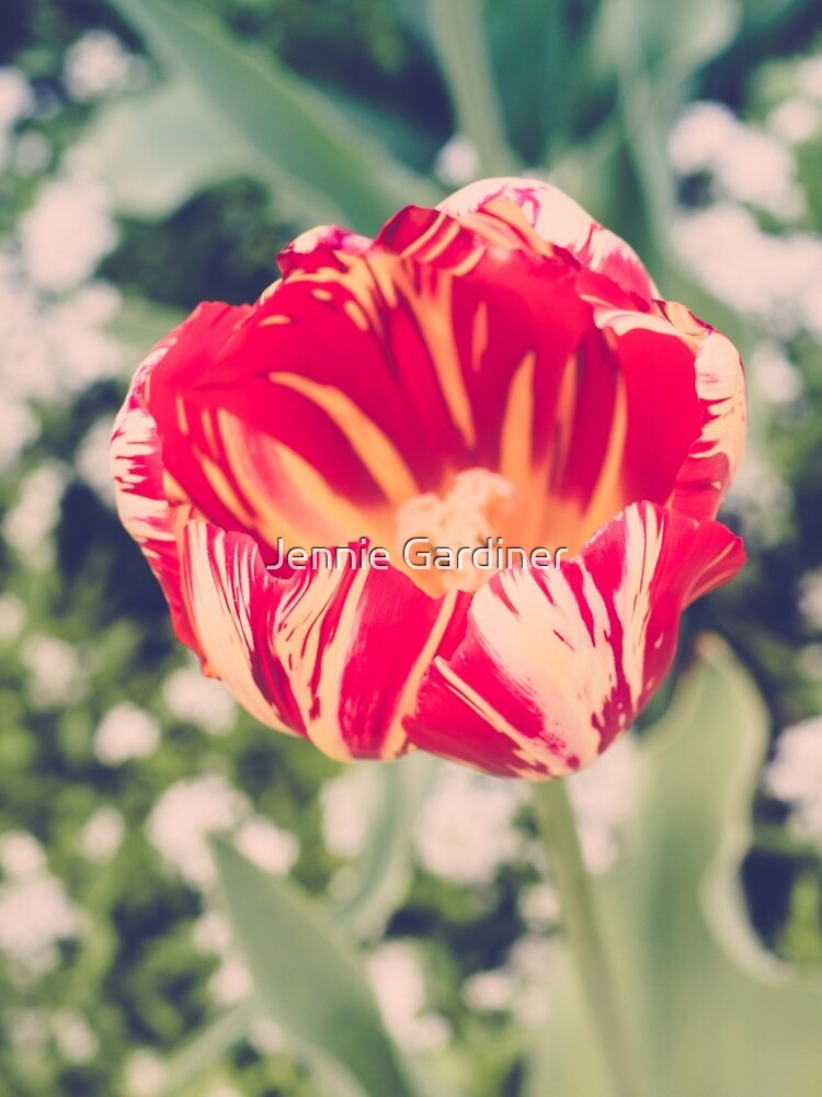 Thumbnail 4 of 4, Samsung Galaxy Phone Case, Spring Tulip designed and sold by ADAMAS.