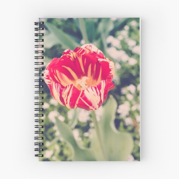 Item preview, Spring Tulip designed and sold by Jennie Gardiner.