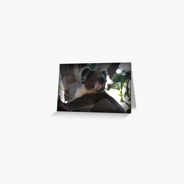 Item preview, Koala in Tree designed and sold by John Bullen.