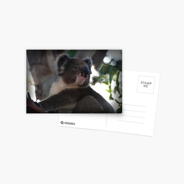 Item preview, Koala in Tree designed and sold by John Bullen.