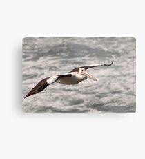 Flying Free Metal Print