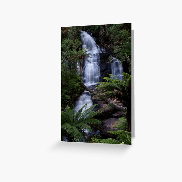 Item preview, Triplet Falls - Otways National Park, Australia designed and sold by John Bullen.