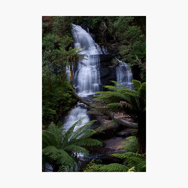 Item preview, Triplet Falls - Otways National Park, Australia designed and sold by John Bullen.