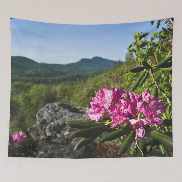 Item preview, Blue Ridge Parkway Tapestry designed and sold by mbarimo7.