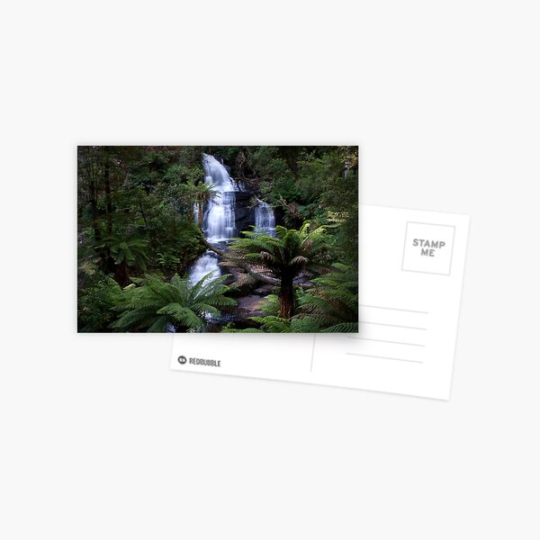 Triplet Falls - Otways National Park, Australia Postcard