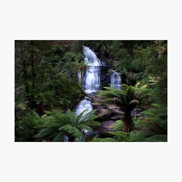 Triplet Falls - Otways National Park, Australia Photographic Print