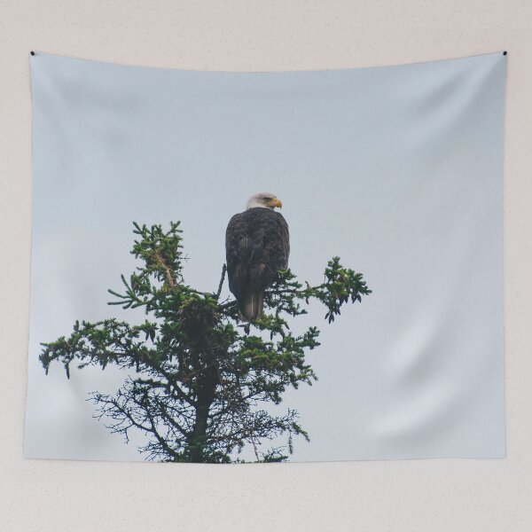 Item preview, Perched Bald Eagle designed and sold by smithsarah1500.