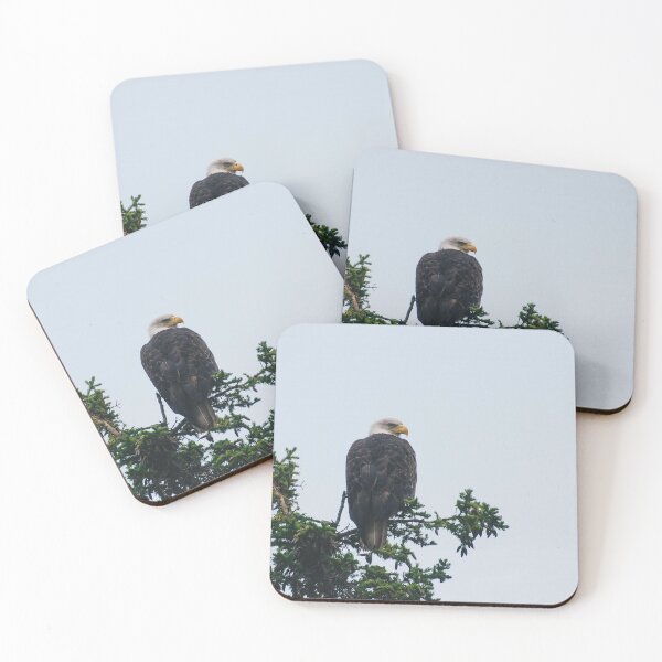 Item preview, Perched Bald Eagle designed and sold by smithsarah1500.