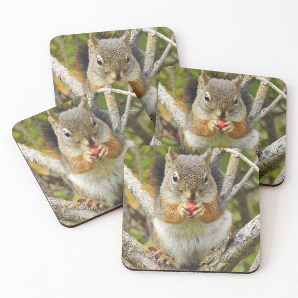 Adorable Mountain Ash Berry Squirrel Coasters (Set of 4)