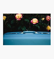 Vintage Flair Photographic Print