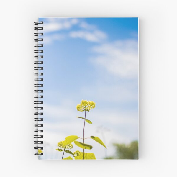 Item preview, Fresh Start designed and sold by Danielle Keltner.