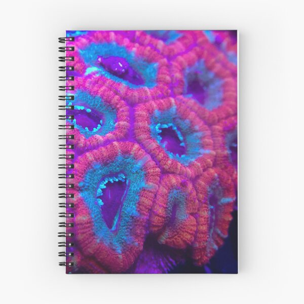Item preview, Red and Blue Acan Coral designed and sold by buzzmarshall.