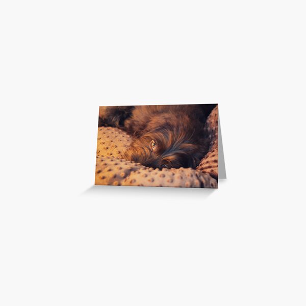 I see You... Greeting Card