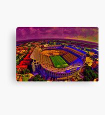 LSU Tigers Death Valley Canvas Print