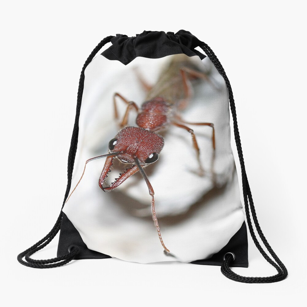 Australian Ant Drawstring Bag