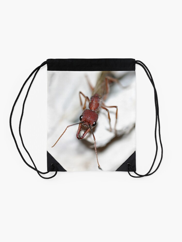Alternate view of Australian Ant Drawstring Bag