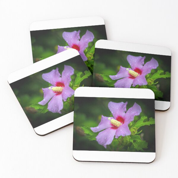 Item preview, Rose of Sharon on a Dewey Morning designed and sold by dalenjac.