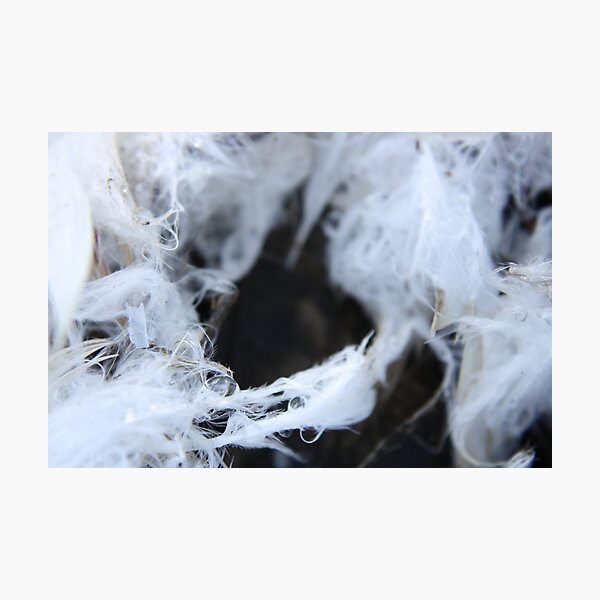 Aftermath Photographic Print