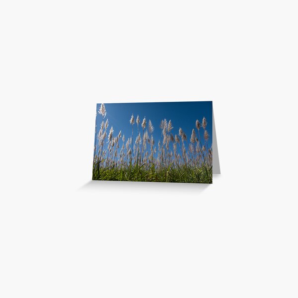 Sugar Cane blues Greeting Card