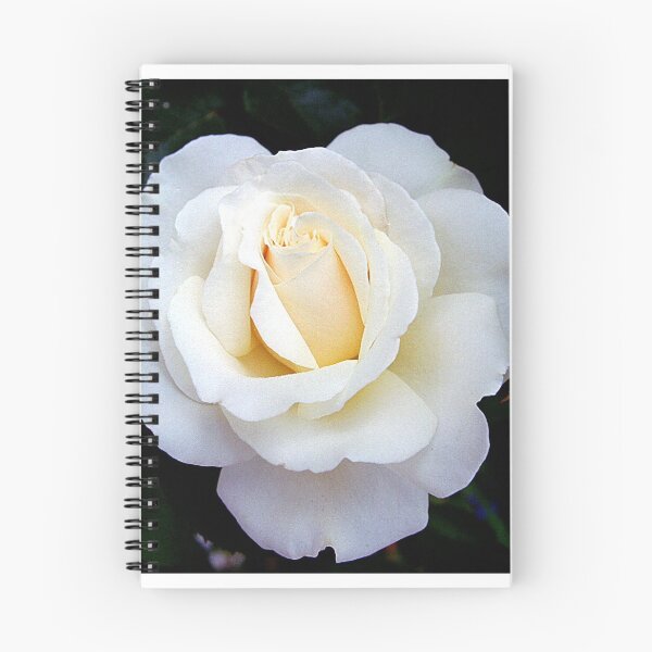 Item preview, White rose designed and sold by MizzMarz.