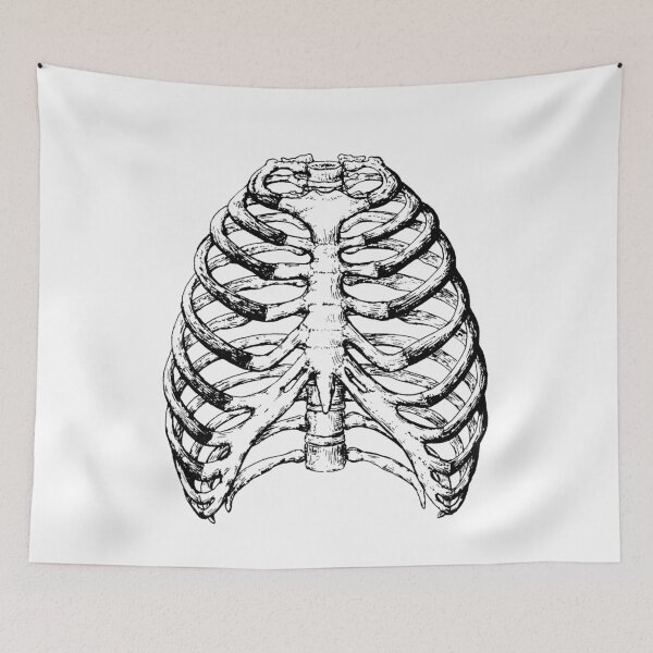 Item preview, The bones of the human chest. designed and sold by Squirrox.