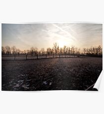 sunshine Poster