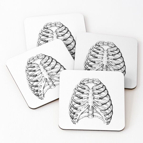 Item preview, The bones of the human chest. designed and sold by Squirrox.