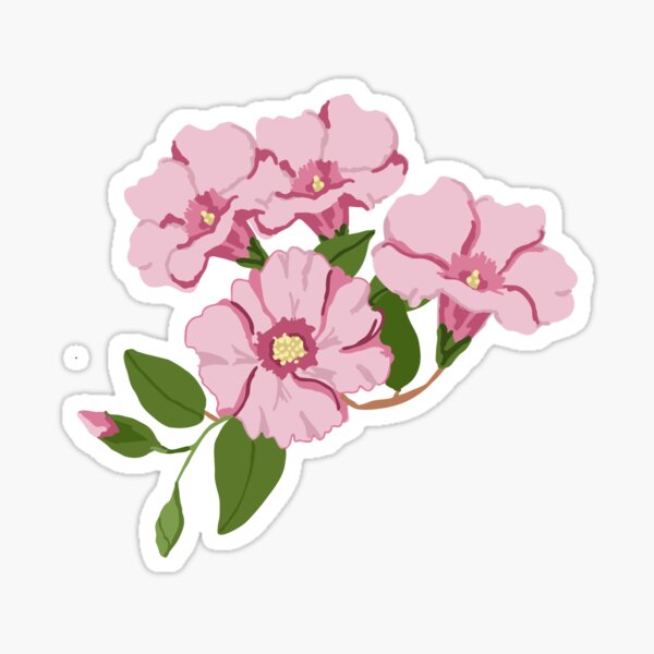 Australian Sturts Desert Rose Sticker