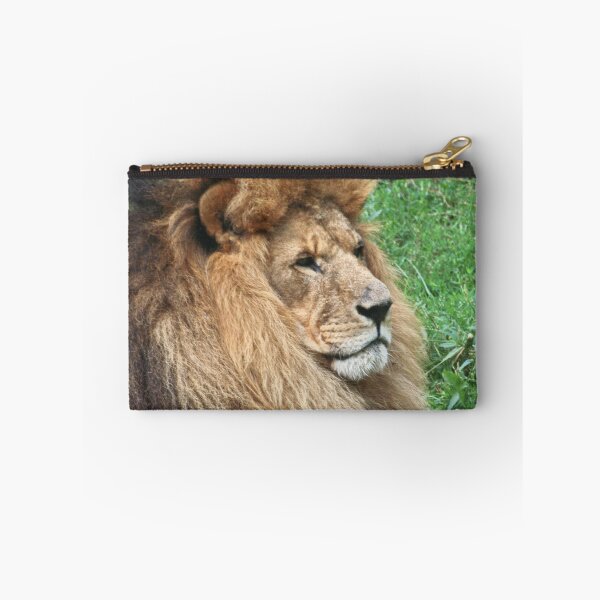 Item preview, Lion 001 designed and sold by JAMFoto.