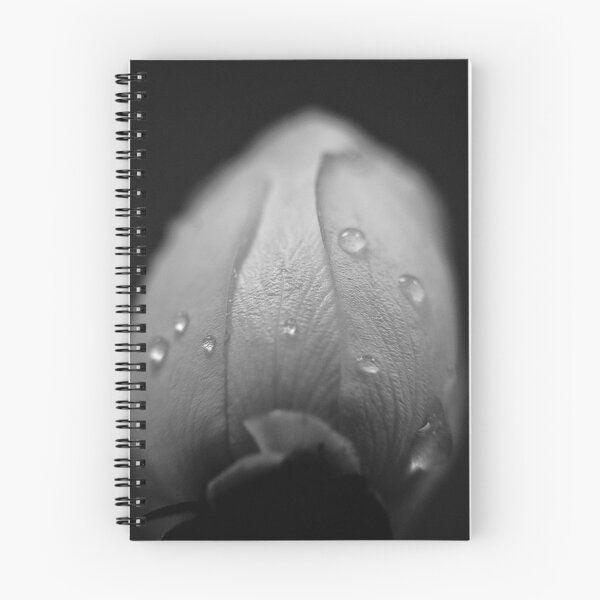 Item preview, Rose and Waterdrops designed and sold by Martin  Slotta.