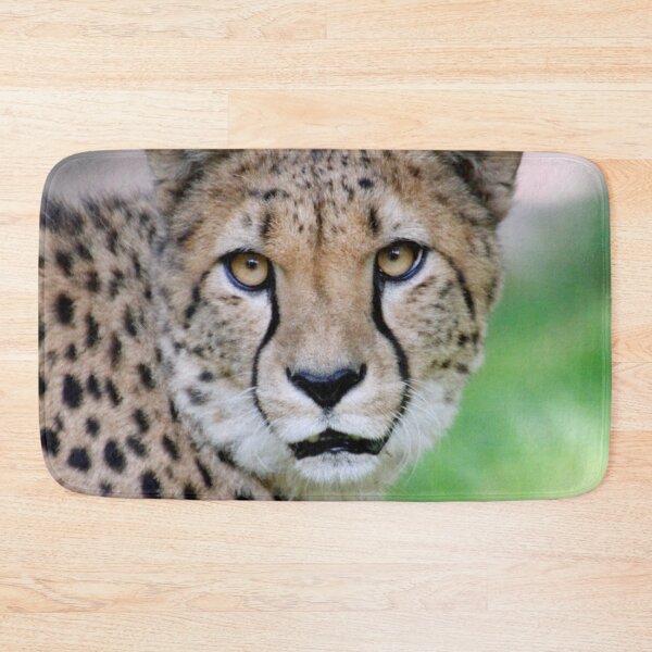 Item preview, Cheetah 002 designed and sold by JAMFoto.