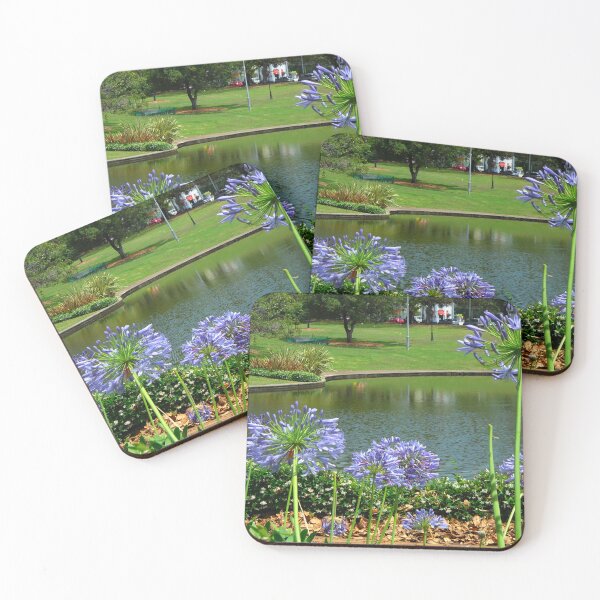 Item preview, Agapanthus and Natural Dam, Victoria Park, Sydney, NSW, Australia designed and sold by C J Lewis.