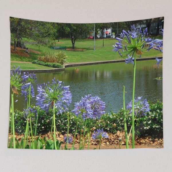 Item preview, Agapanthus and Natural Dam, Victoria Park, Sydney, NSW, Australia designed and sold by C J Lewis.